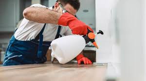 Best Real Estate Pest Inspections  in Levittown, NY